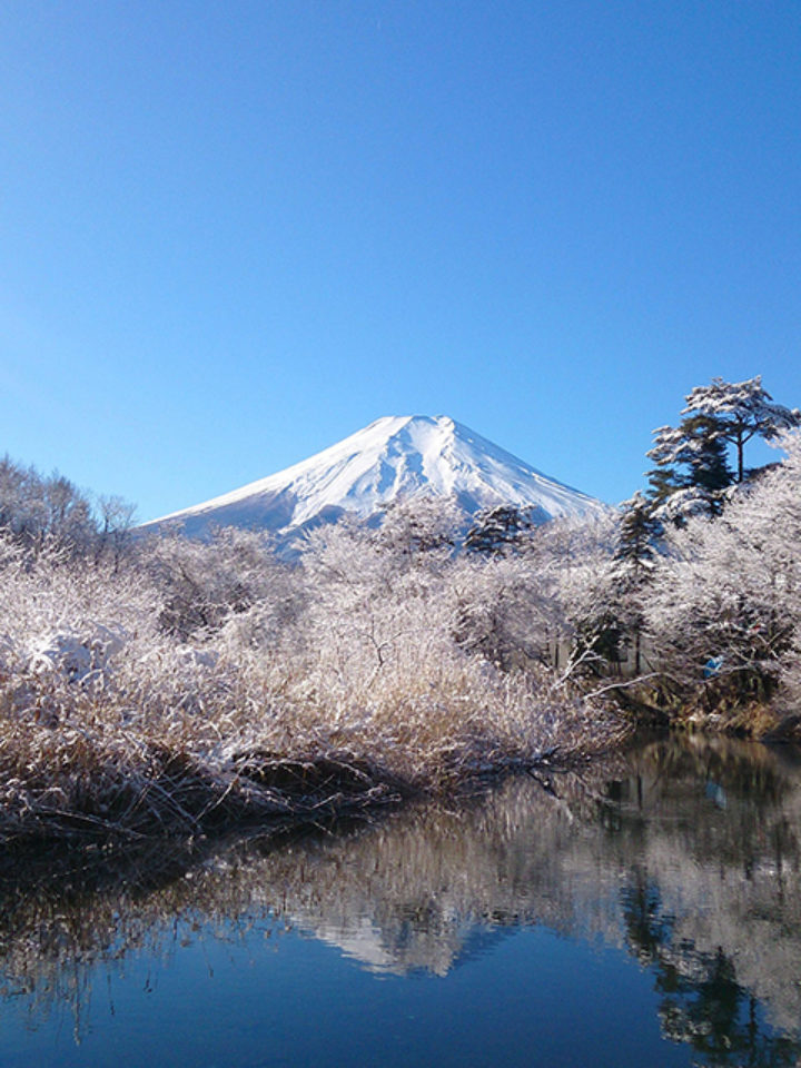mt.fuji1 mt.fuji1